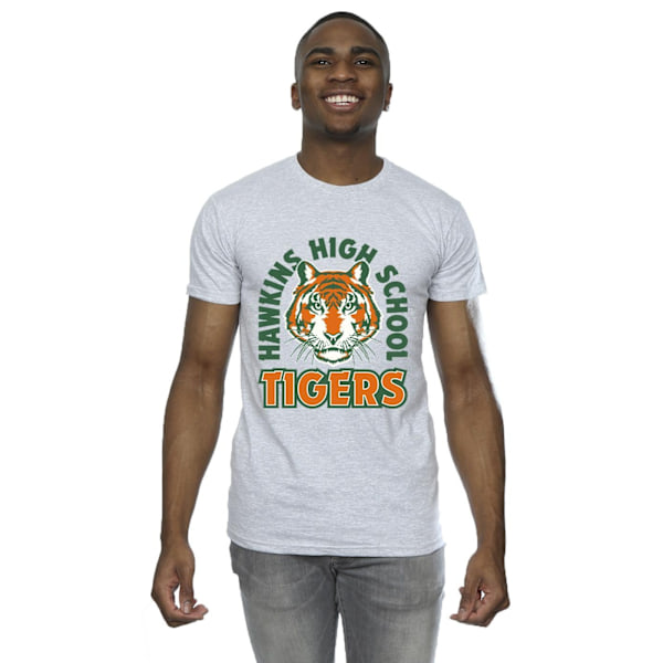 Netflix Mens Stranger Things Hawkins Arch Tiger T-Shirt 3XL Spo Sports Grey 3XL