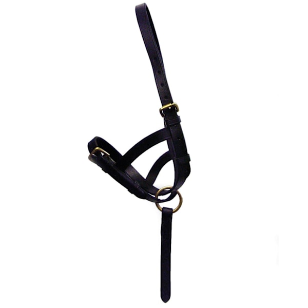 Hy Läder Foal Slip Liten Brun Brown Small