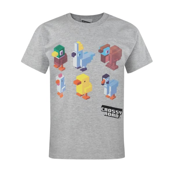 Crossy Road Barn/Pojkar Officiell Karaktärsdesign Kortärmad Light Grey Years (9/10)