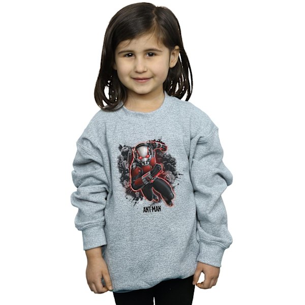 Marvel Girls Ant-Man Myror Löpartröja 7-8 År Sports G Sports Grey 7-8 Years