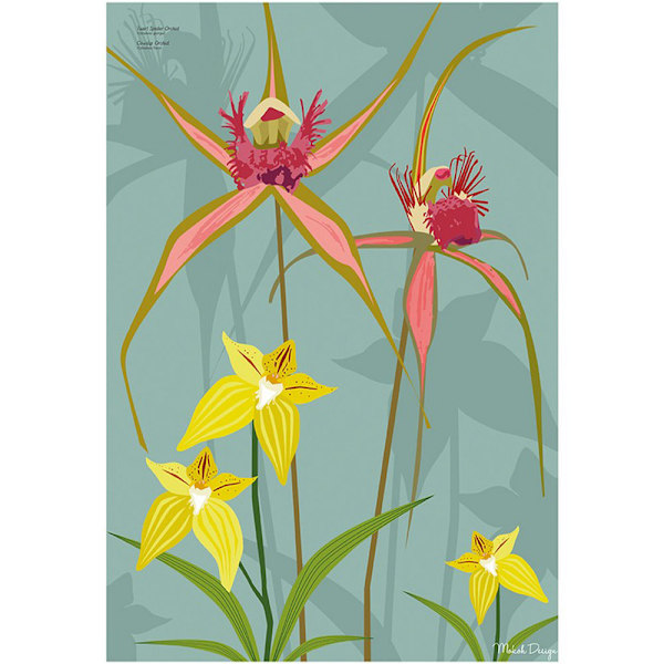 Mokoh Spider Orchid Print 40cm x 30cm Gul/Grön Yellow/Green 40cm x 30cm