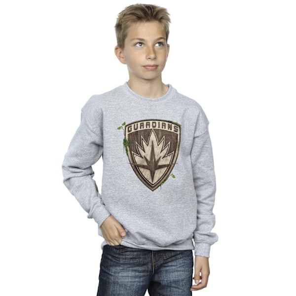 Marvel Boys I Am Groot Guardian Emblem Sweatshirt 5-6 år Spo Sports Grey 5-6 Years