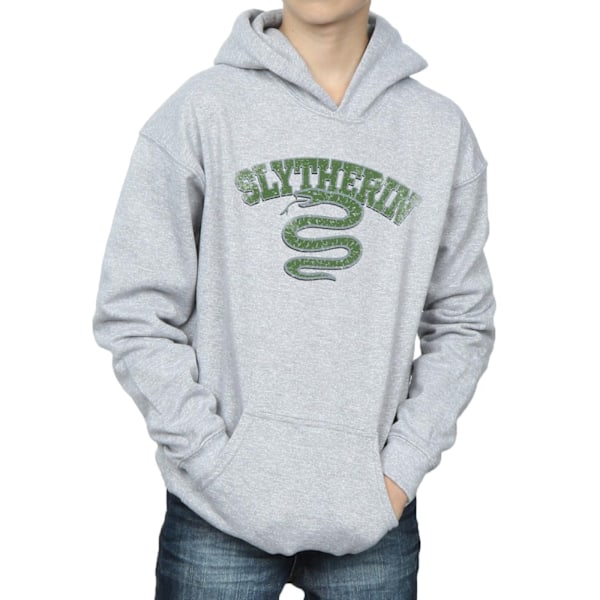 Harry Potter Boys Slytherin Sport Emblem Hoodie 12-13 år Spo Sports Grey 12-13 Years