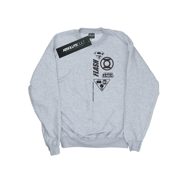 DC Comics Boys Justice League Chest Icons Sweatshirt 5-6 år Sports Grey 5-6 Years