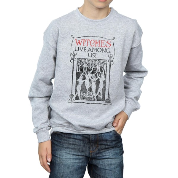 Fantastic Beasts Boys Witches Live Among Us Sweatshirt 7-8 år Sports Grey 7-8 Years