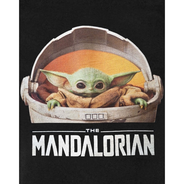Star Wars: The Mandalorian Mens Baby Yoda T-shirt L Svart/Vit Black/White/Brown L