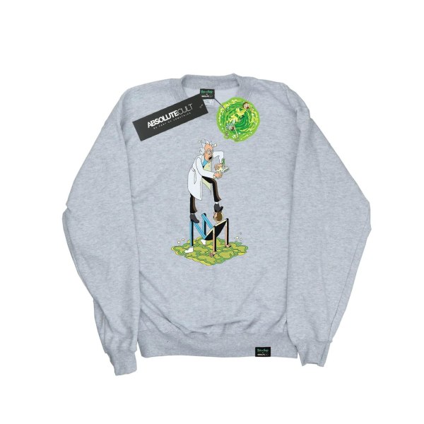 Rick And Morty Stylized Characters Sweatshirt för kvinnor/damer XXL Sports Grey XXL