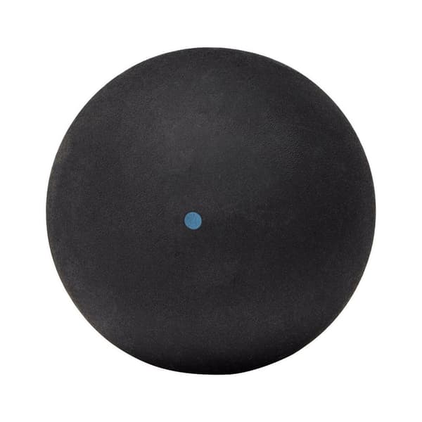 Dunlop Intro Squashbollar (12-pack) One Size Svart Black One Size