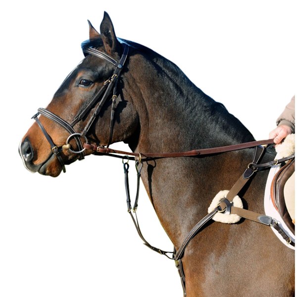 John Whitaker Läder Hästbröstplatta Full Havana Havana Full