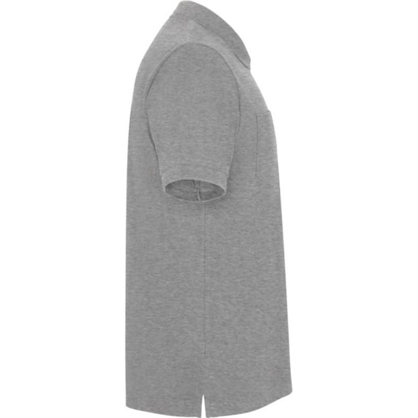 Roly Unisex Vuxen Centauro Premium Kortärmad Poloshirt M Grå Grey Marl M
