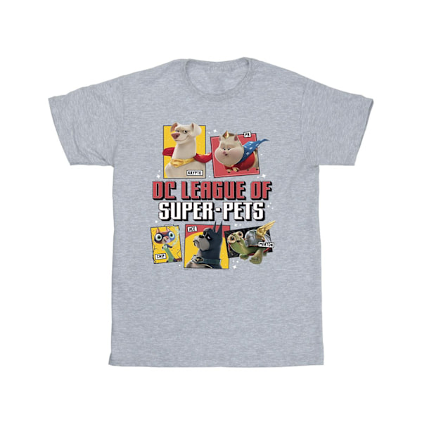 DC Comics Girls DC League Of Super-Pets Profil Bomull T-shirt Sports Grey 3-4 Years