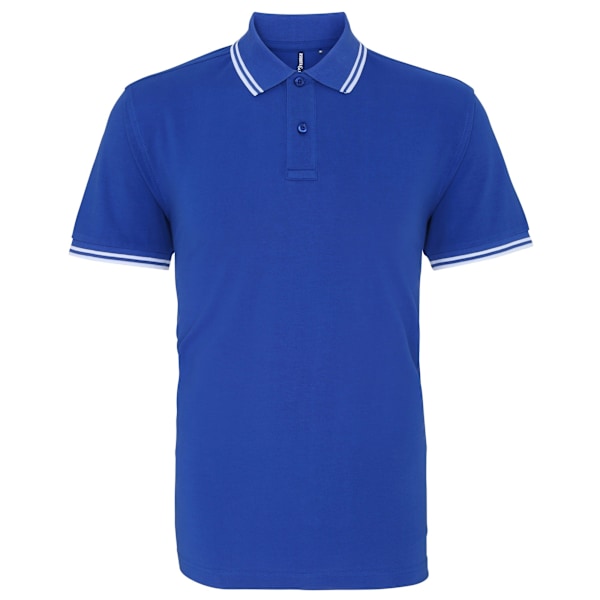 Asquith & Fox Klassisk polotröja med normal passform, L, Royal/Vit Royal/ White L