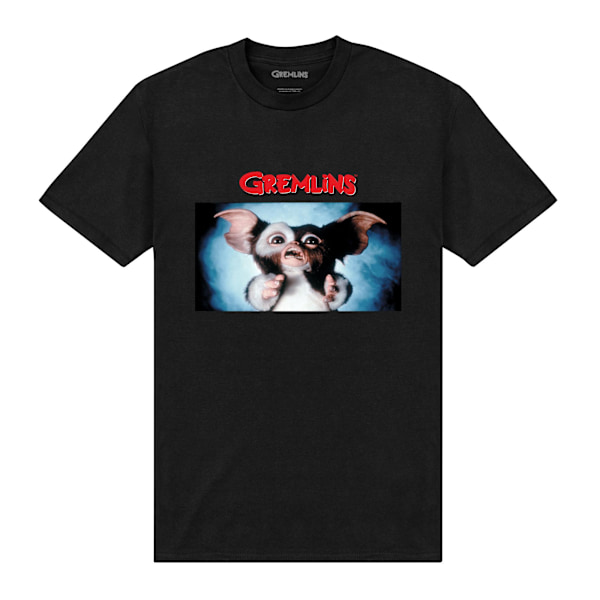 Gremlins Unisex Vuxen Aldrig Få Den Våt T-Shirt XXL Svart Black XXL