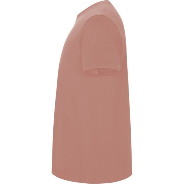 Roly Barn/Barn Stafford Kortärmad T-shirt 9-10 År C Clay Orange 9-10 Years