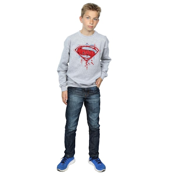 DC Comics Pojkar Superman Geo Logo Sweatshirt 7-8 År Sports Grå Sports Grey 7-8 Years