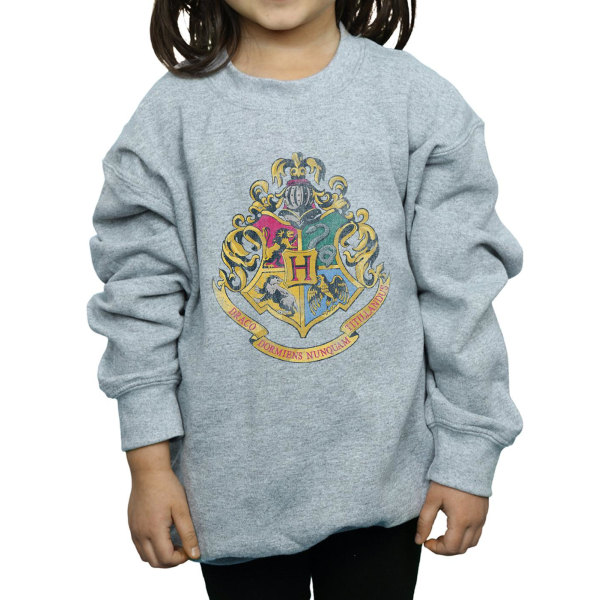 Harry Potter Girls Hogwarts Houses bomullströja 5-6 år Sports Grey 5-6 Years
