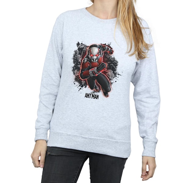 Marvel Dam/Kvinnor Ant-Man Myror Löpartröja S Heather Heather Grey S