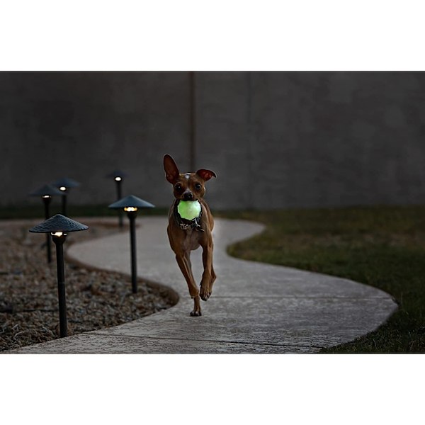 Jolly Pets Jolly Jumper Hundboll 3in Greenglow Greenglow 3in