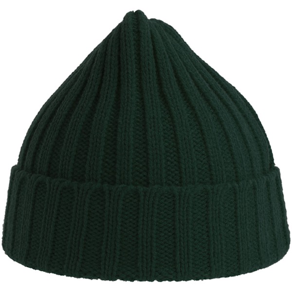 Atlantis Unisex Vuxen Shore Chunky Återvunnen Mössa En Storlek Bot Bottle Green One Size