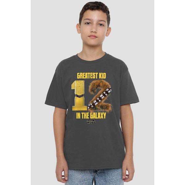 Star Wars Barn/Ungdom Bästa Barn C3PO R2-D2 T-Shirt 12-13 Charcoal 12-13 Years