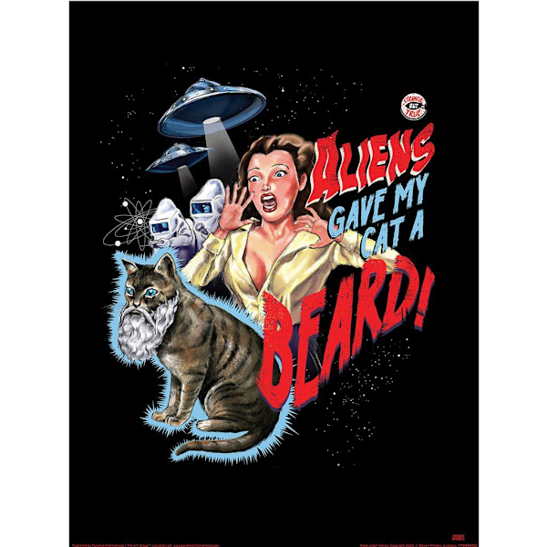 Steven Rhodes Cat A Beard Reviderad Tryck 40cm x 30cm Flerfärgad Multicoloured 40cm x 30cm