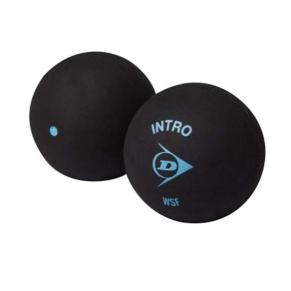 Dunlop Intro Squashbollar (12-pack) One Size Svart/Blå Black/Blue One Size