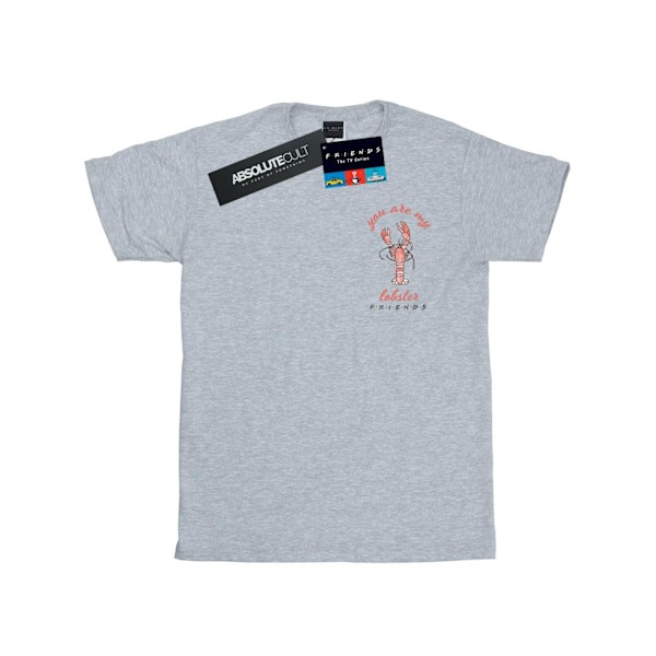 Friends Boys Lobster Chest T-Shirt 9-11 år Sports Grey Sports Grey 9-11 Years