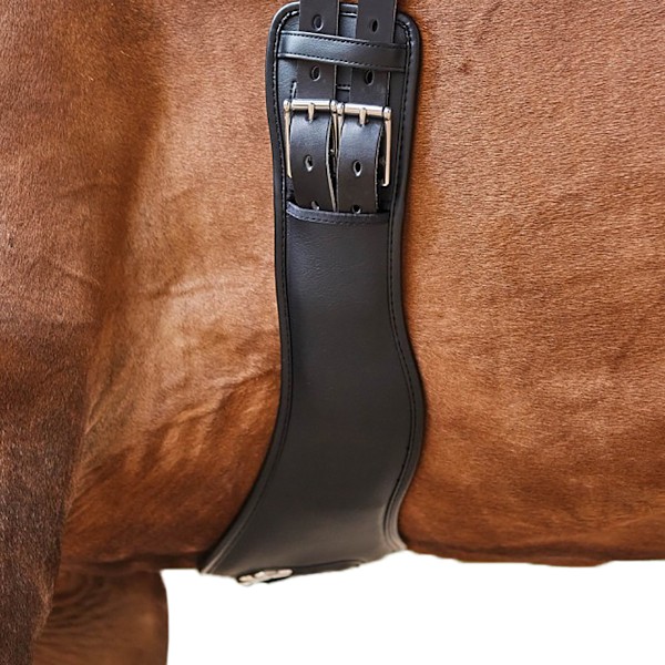 Collegiate Anatomic Girth 100cm/40in Svart Black 100cm/40in