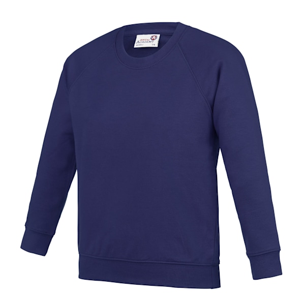 AWDis Academy Barn/Barn Crew Neck Raglan Skolsweatshirt Purple 7-8 Years