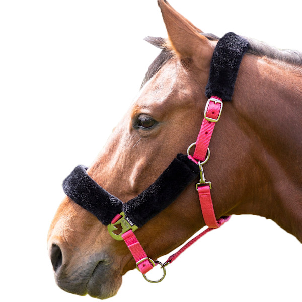 Shires Fleece Fodrad Hästgrimma Cob Rosa/Svart Pink/Black Cob