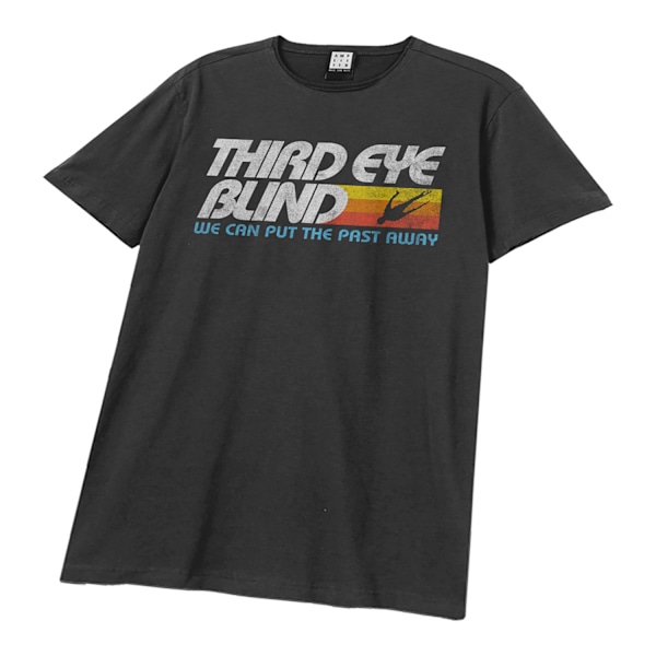 Amplified Unisex Vuxen Jumper Third Eye Blind T-shirt S Charcoal Charcoal S