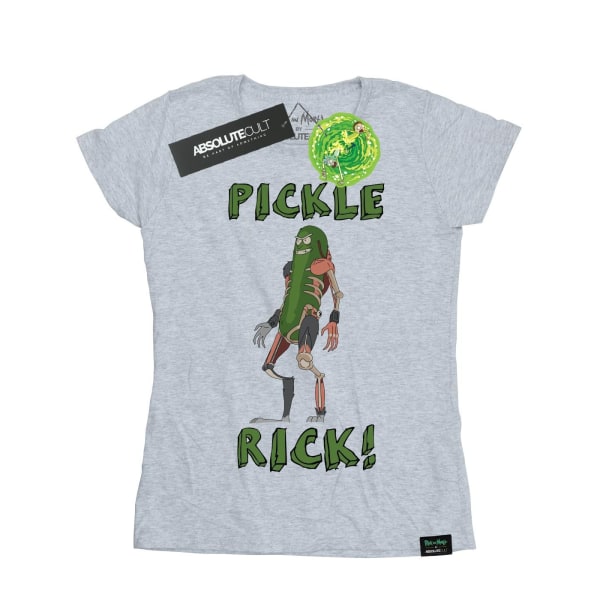 Rick And Morty Dam/Dam Pickle Rick Cotton T-Shirt XXL Spo Sports Grey XXL