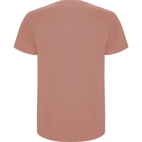 Roly Barn/Barn Stafford Kortärmad T-shirt 3-4 År Lera Orange Clay Orange 3-4 Years