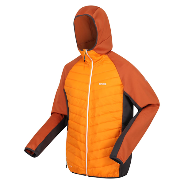 Regatta Andreson VIII Hybridjacka för män XXL Orange Pepper/Burn Orange Pepper/Burnt Copper XXL