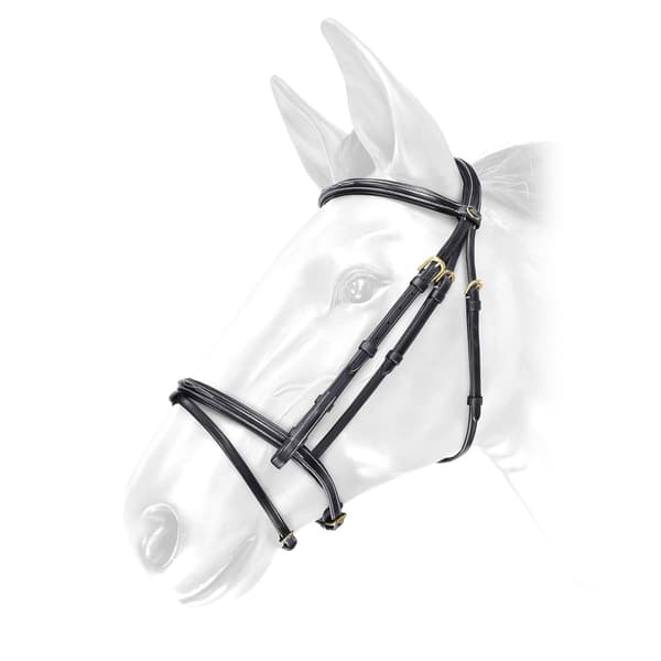 John Whitaker Valencia Super Deluxe Läder Häst Flash Träns Black Full