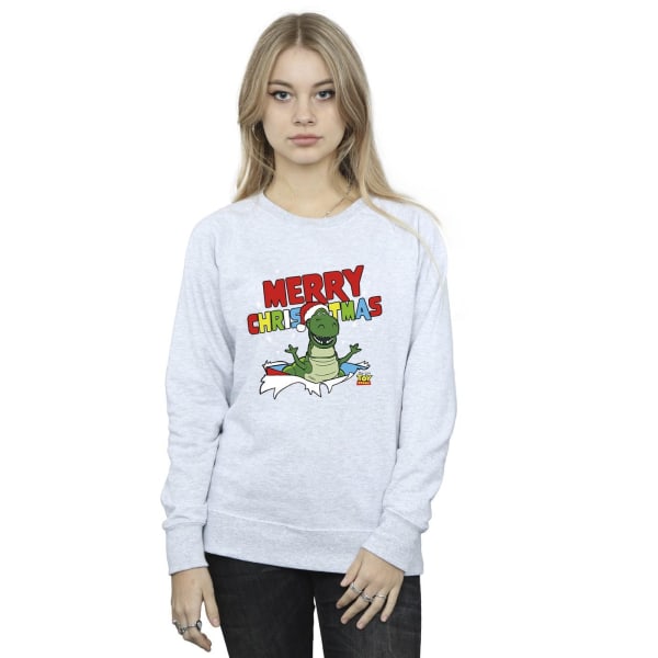 Disney Womens/Ladies Toy Story Rex Christmas Burst Sweatshirt M Sports Grey M