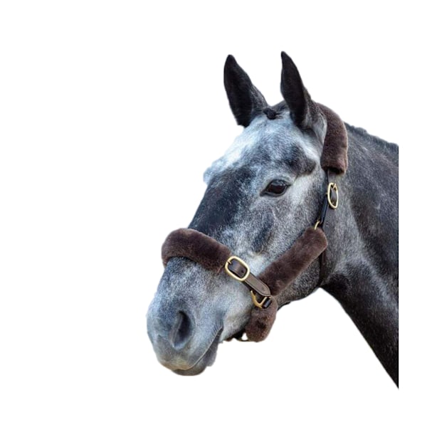 Shires Performance Horses SupaFleece Halter Fleeces (9-pack) Brown One Size