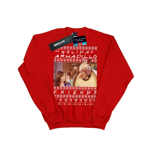 Friends Boys Fair Isle Holiday Armadillo Sweatshirt 5-6 år R Red 5-6 Years