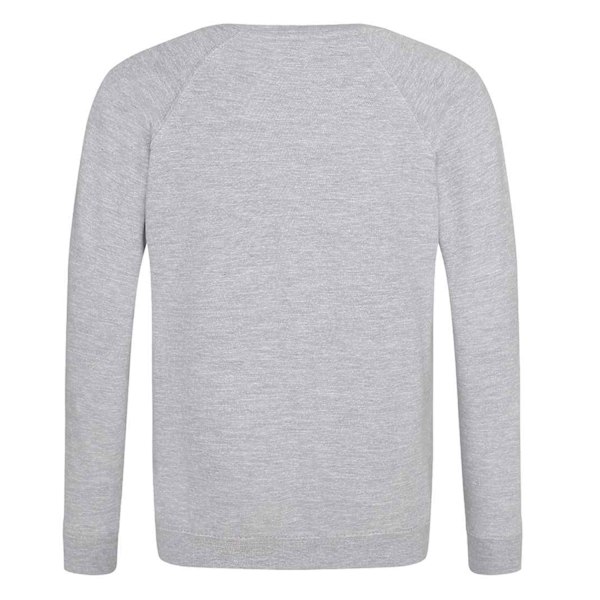 AWDis Academy Barn/Barn Crew Neck Raglan Skolsweatshirt Grey 5-6 Years