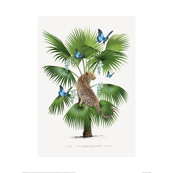 Summer Thornton Leopard Poster 60cm x 80cm Grön/Blå/Brun Green/Blue/Brown 60cm x 80cm