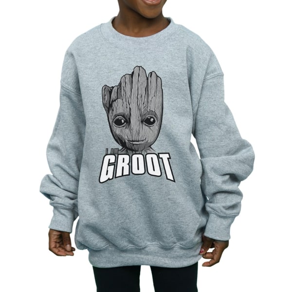 Marvel Girls Guardians Of The Galaxy Groot Face Sweatshirt 9-11 Sports Grey 9-11 Years