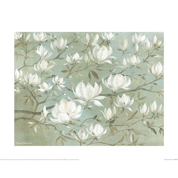 Diane Demirci Vit Magnolia Tryck 60cm x 80cm Grön/Vit Green/White 60cm x 80cm