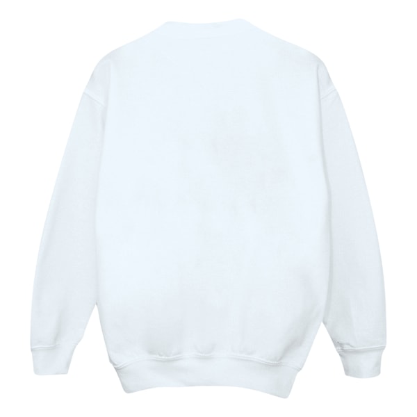 Looney Tunes Mens Wile E Coyote Colour Code Sweatshirt 5XL Vit White 5XL