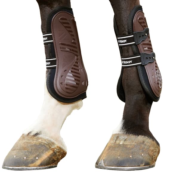 Whitaker Bingley Senskydd (4-pack) Full Brown Brown Full