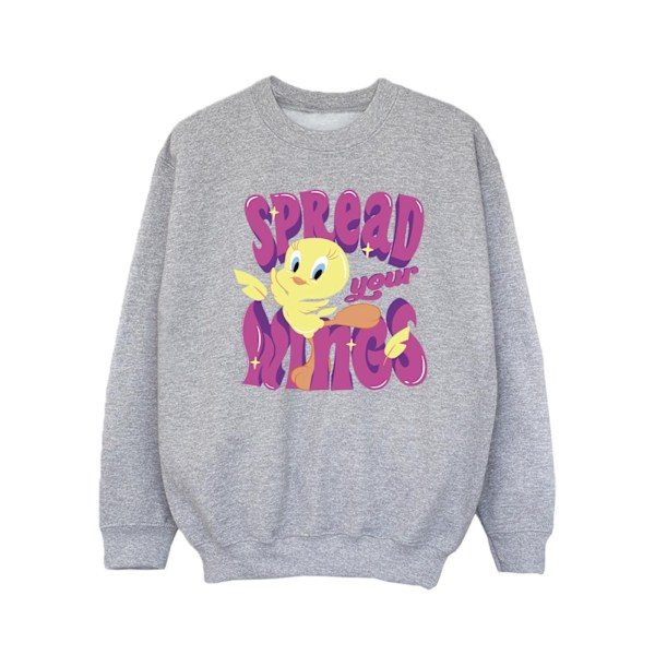 Looney Tunes Girls Tweeday Spread Your Wings Sweatshirt 12-13 Y Sports Grey 12-13 Years