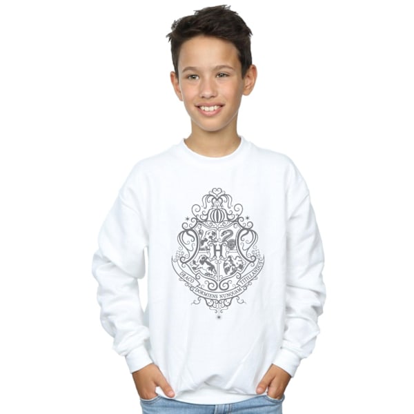 Harry Potter Pojkar Hogwarts Draco Dormiens Crest Sweatshirt 12-1 White 12-13 Years