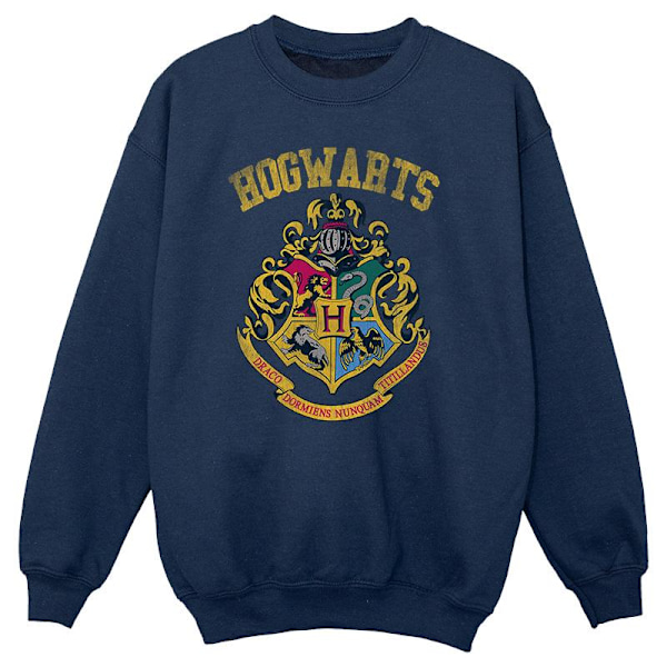 Harry Potter Flickor Fylld Crest Varsity Sweatshirt 3-4 År Navy Navy Blue 3-4 Years