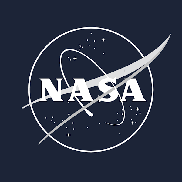 NASA Unisex Vuxen Galaxy Hoodie L Marinblå Navy Blue L