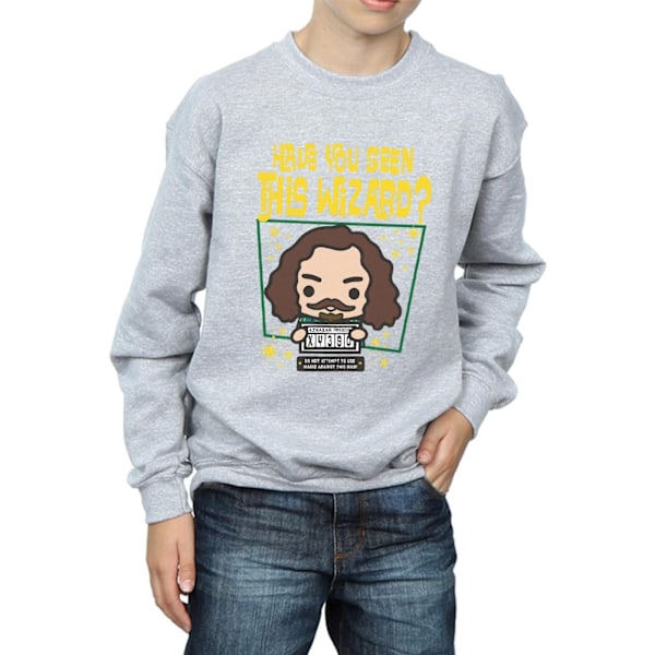 Harry Potter Boys Sirius Black Azkaban Junior Sweatshirt 7-8 år Sports Grey 7-8 Years