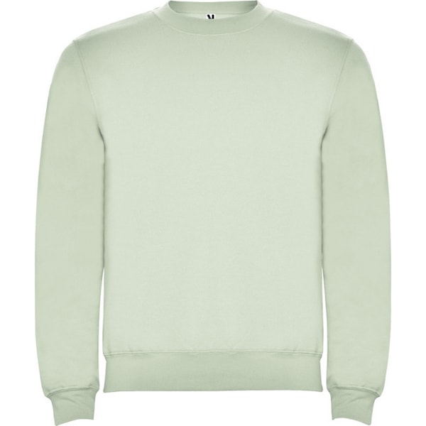 Roly Unisex Vuxen Clasica Crew Neck Sweatshirt XS Mist Green Mist Green XS
